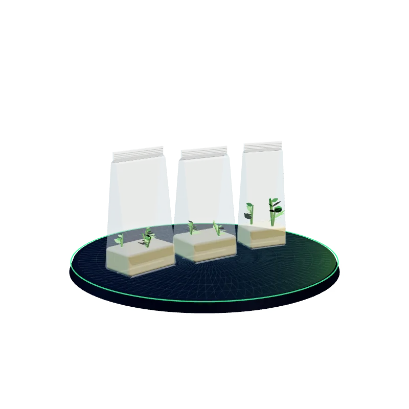 Túi kín 3 kích thước 3D